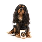 Kép 3/4 - FuzzYard Barkrista Puppuccino plüss kutyajáték