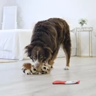 Kép 3/3 - KONG Comfort Pups Spot / M