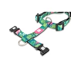 Kép 3/4 - H-Hám - Tropical/M