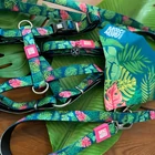 Kép 4/4 - Smart ID Nyakörv - Tropical/M