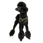 Kép 4/6 - DOOG hám Neoflex Bolt / M