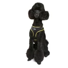 Kép 5/6 - DOOG hám Neoflex Bolt / M