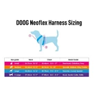 Kép 5/5 - DOOG hám Neoflex Scooby / M