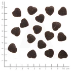 Kép 2/2 - Wolfsblut Wild Duck Squashies Small Breed - kacsa édesburgonyával 350 g