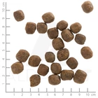 Kép 3/3 - Wolfsblut Cold River Adult - Pisztráng édesburgonyával 12,5 kg