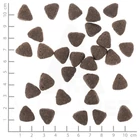 Kép 2/2 - Wolfsblut Western Cape Adult - Strucc banánnal 500 g
