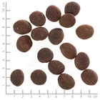 Kép 2/2 - Wolfsblut Polar Night Adult - Rénszarvas tökkel 500 g