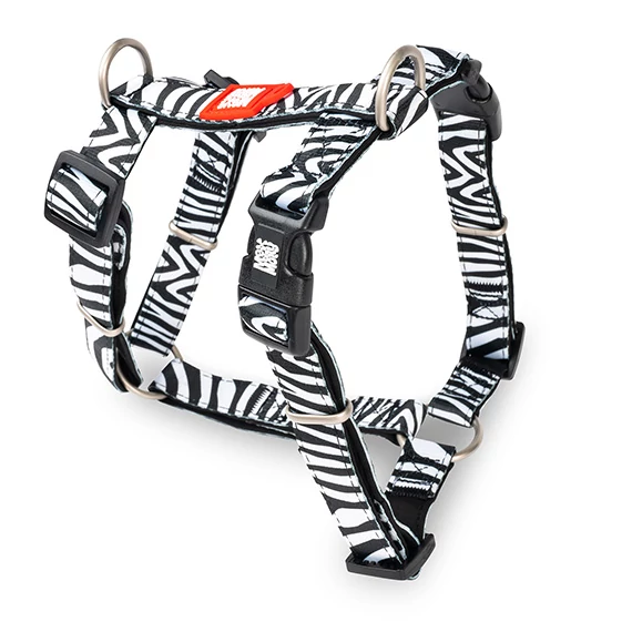H-Hám - Zebra/S